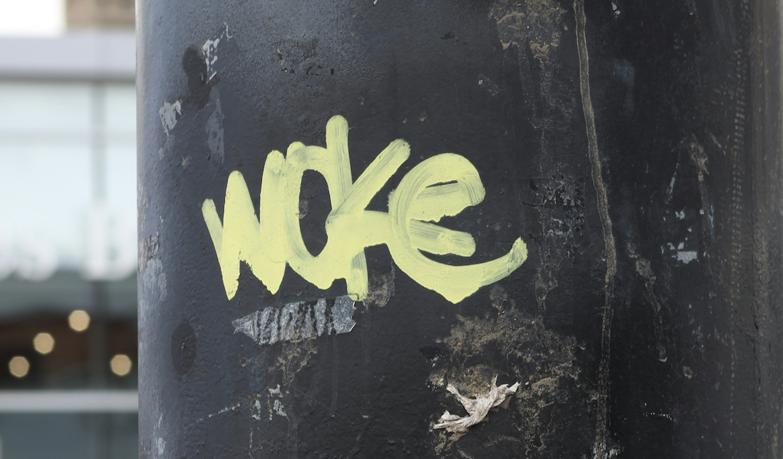 Non solo il vocabolario, anche la Costituzione è woke